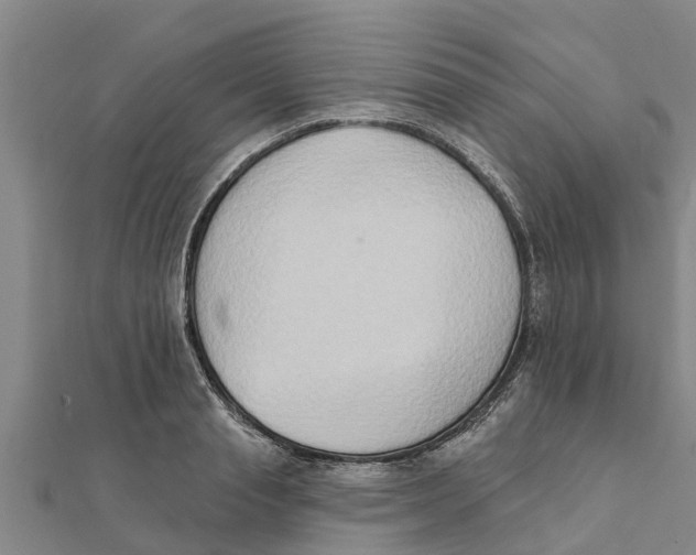 X0000111520845200908041242
