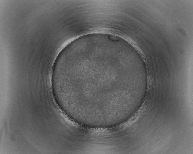 X0000111520846200908041242