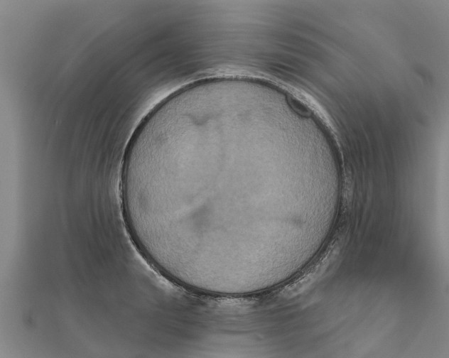 X0000111520847200908041242