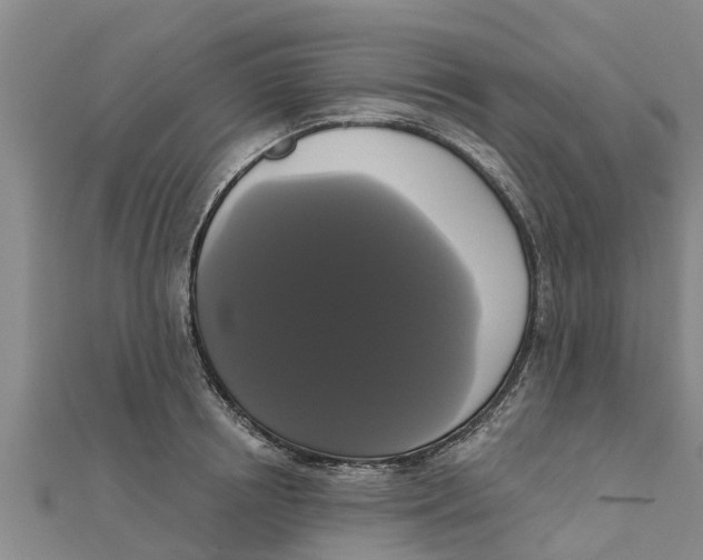 X0000111520850200908041242