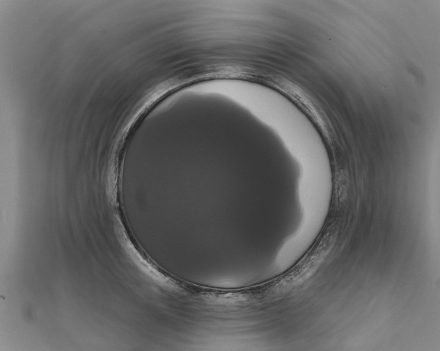 X0000111520851200908041242
