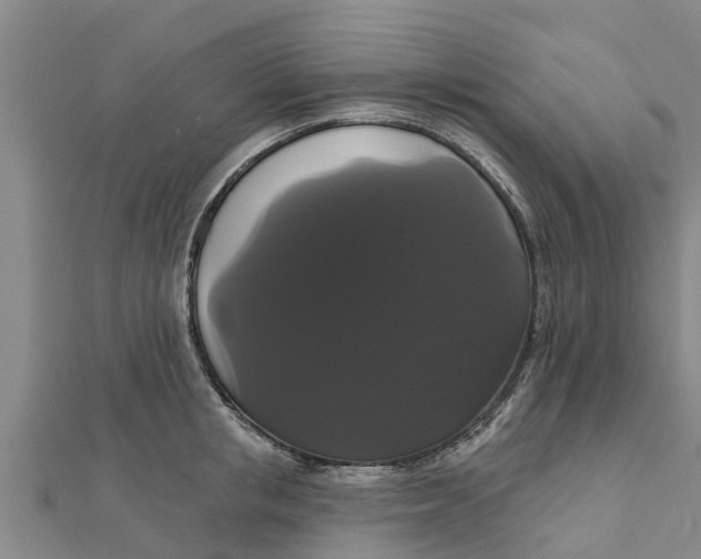 X0000111520853200908041242