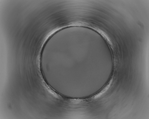 X0000111520854200908041242
