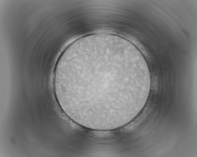 X0000111520856200908041242