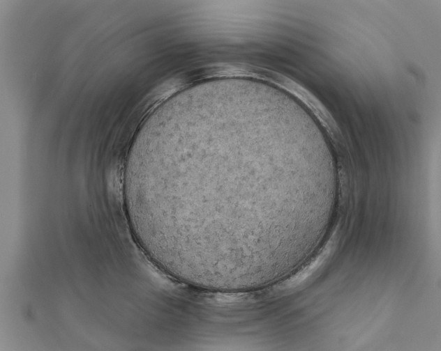 X0000111520857200908041242