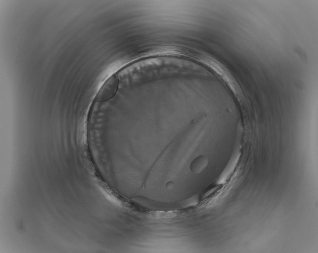 X0000111520858200908041242
