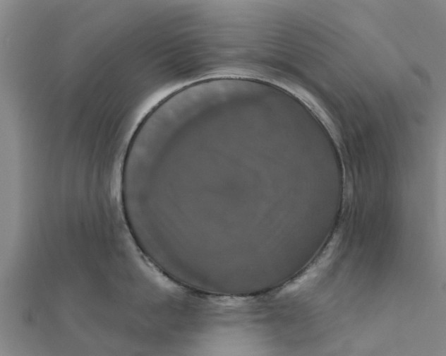 X0000111520862200908041242