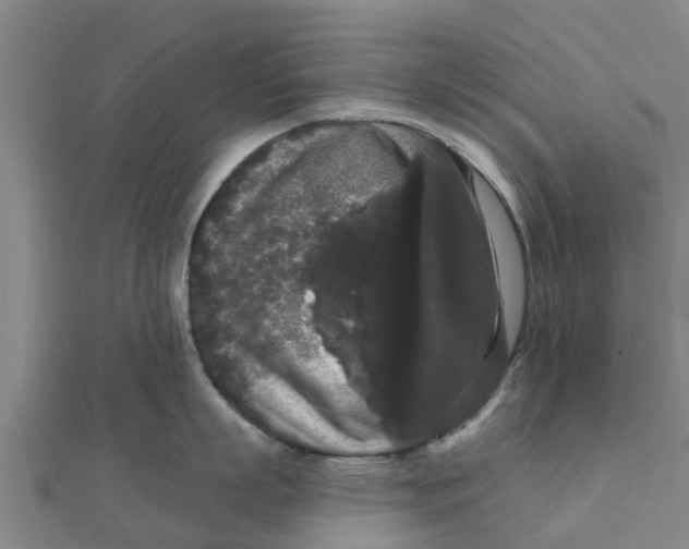 X0000111520863200908041242