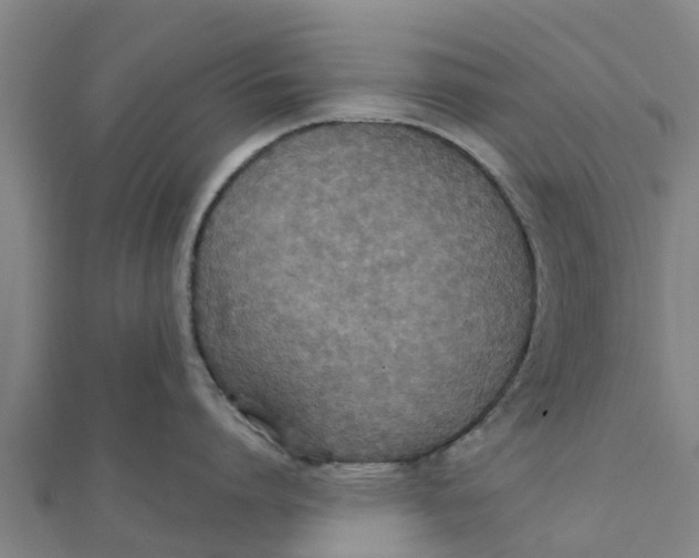 X0000111520864200908041242