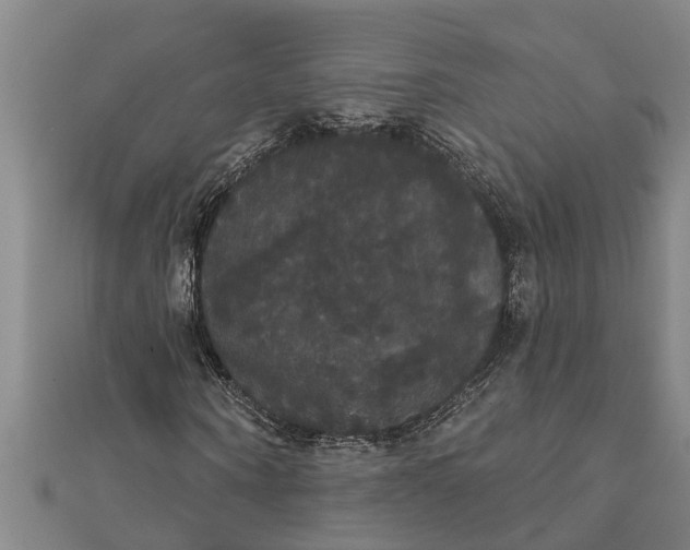 X0000111520866200908041241