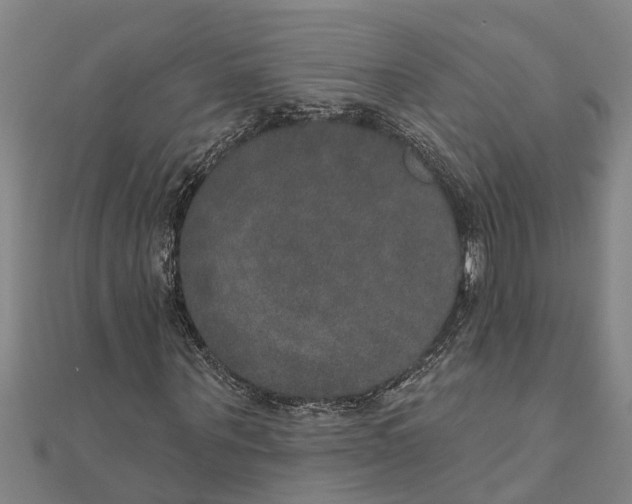 X0000111520867200908041241