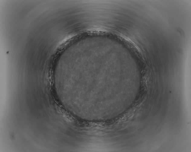 X0000111520870200908041241