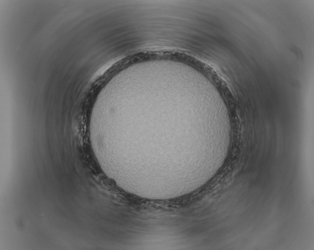 X0000111520871200908041241