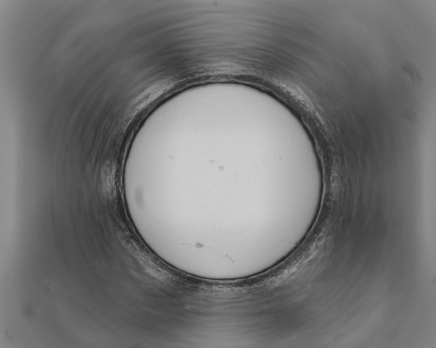 X0000111520873200908041241