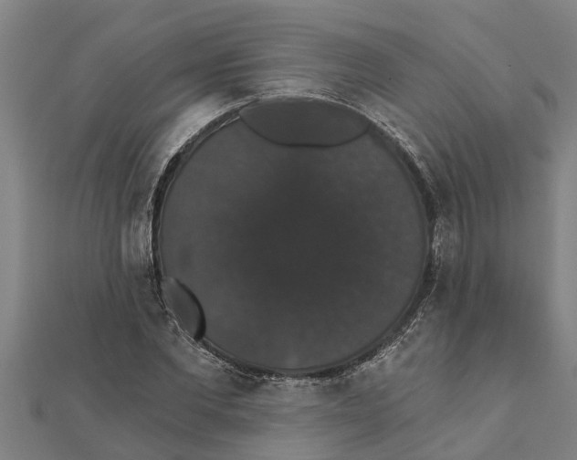 X0000111520877200908041241