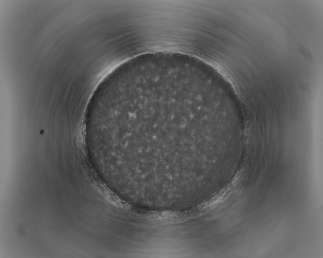 X0000111520879200908041241