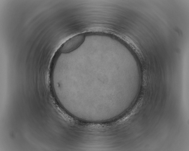 X0000111520880200908041241