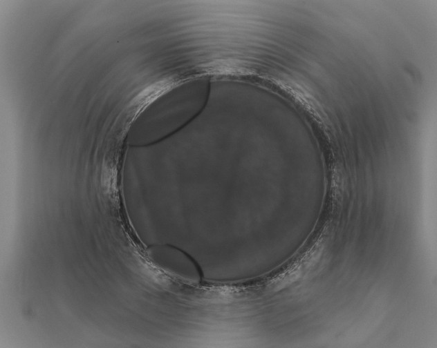 X0000111520881200908041241