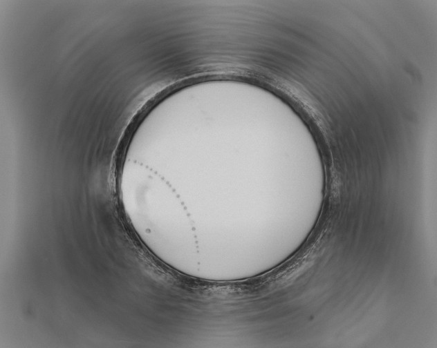 X0000111520883200908041241