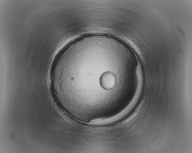 X0000111520885200908041241