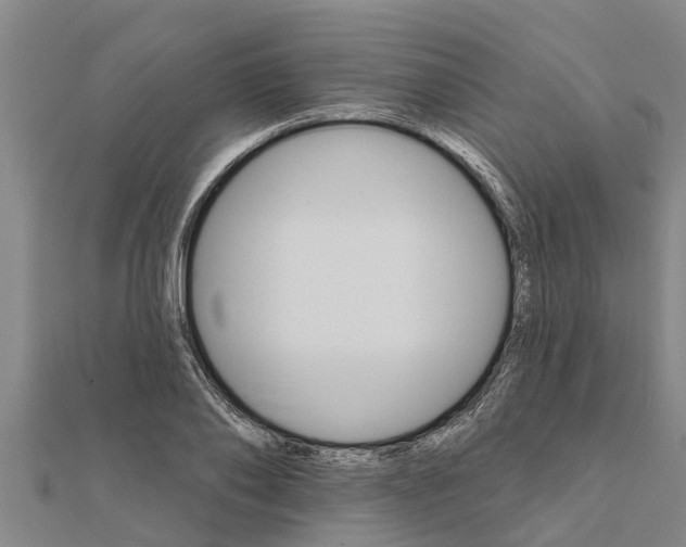 X0000111520886200908041241