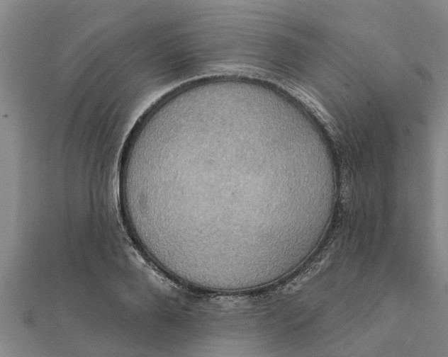 X0000111520888200908041241