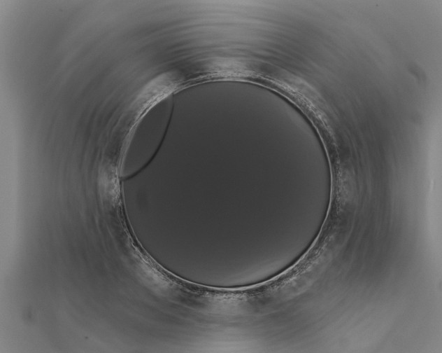 X0000111520889200908041241