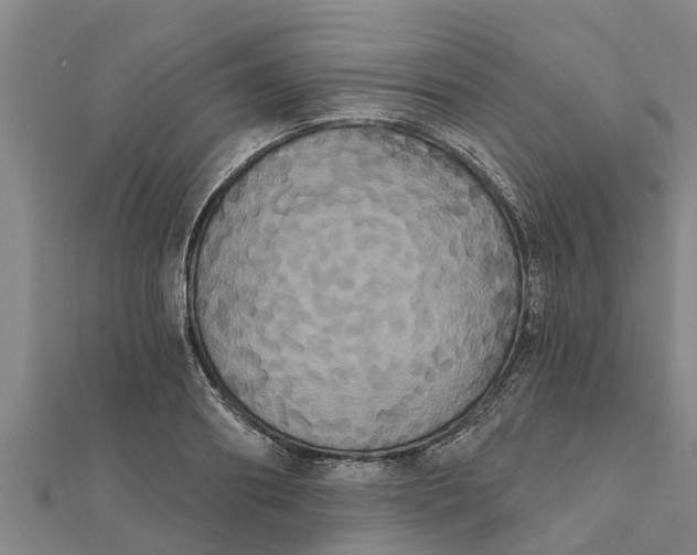 X0000111520890200908041241