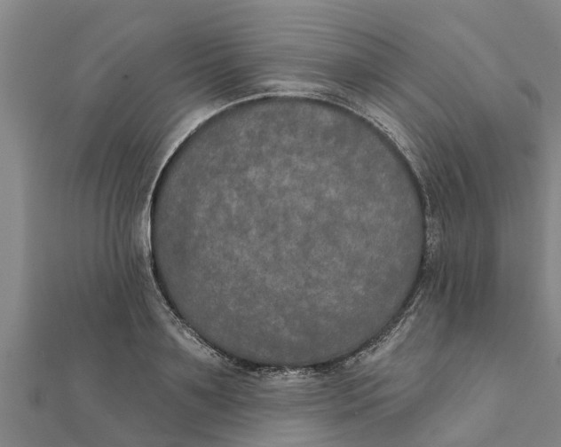 X0000111520891200908041241