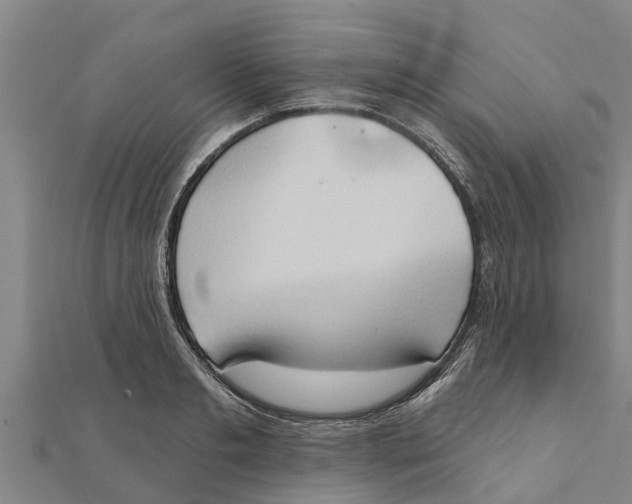 X0000111520893200908041241