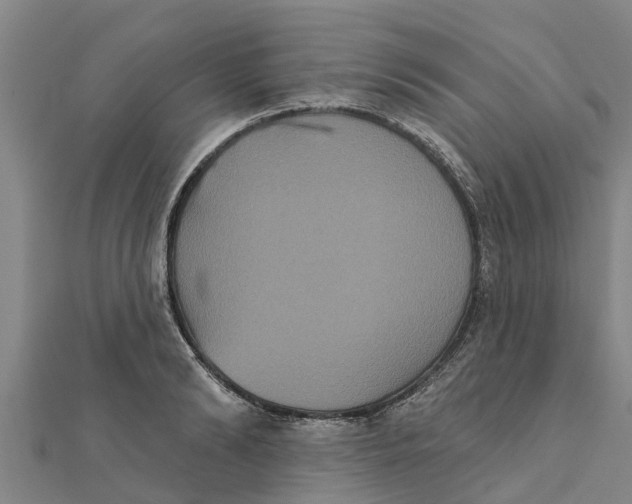 X0000111520894200908041241