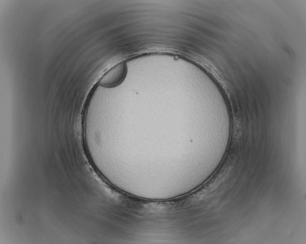 X0000111520898200908041241