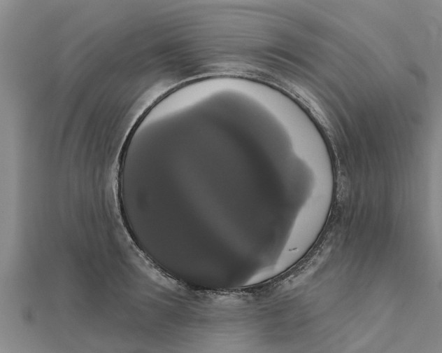 X0000111520899200908041241