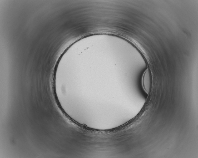 X0000111520901200908041241
