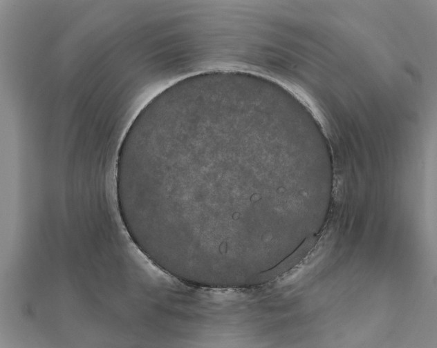 X0000111520903200908041241