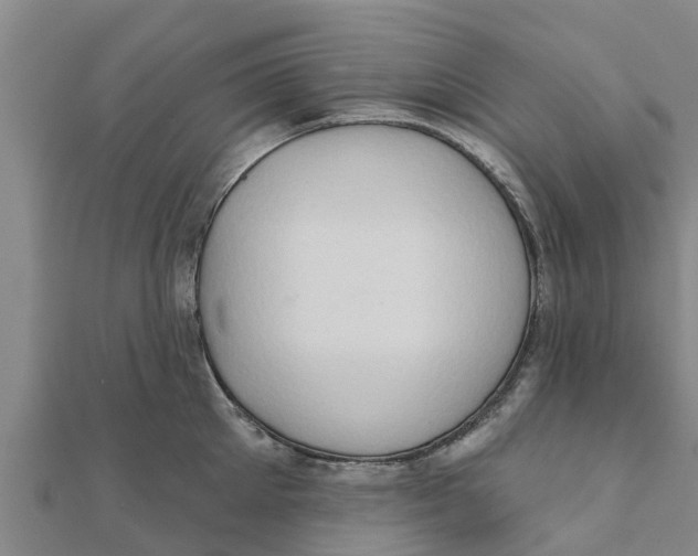 X0000111520905200908041241