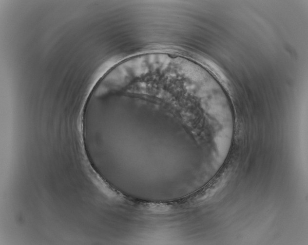 X0000111520907200908041241
