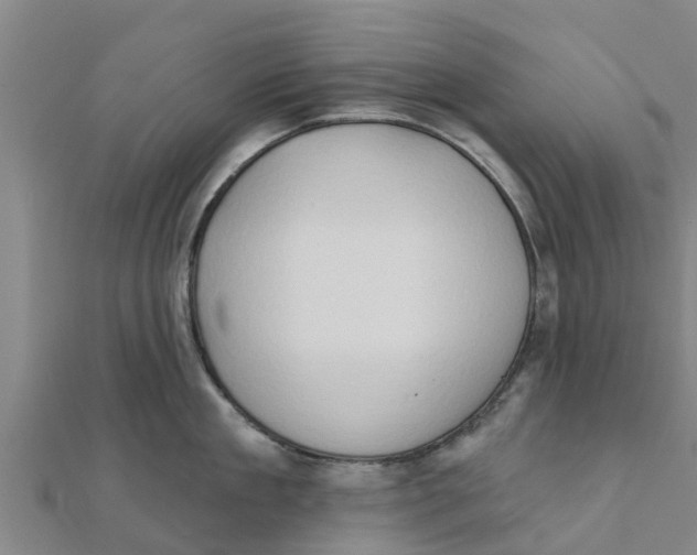 X0000111520909200908041241