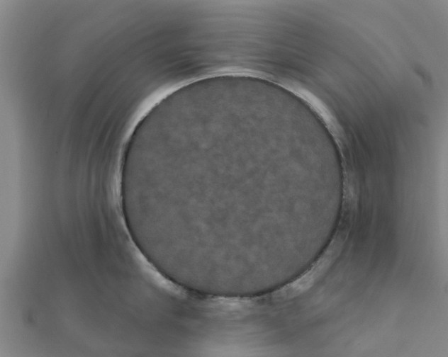 X0000111520910200908041241