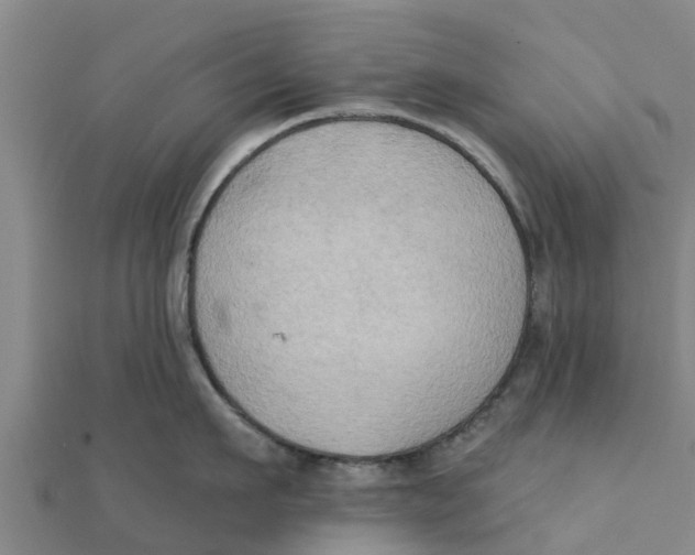 X0000111520911200908041241