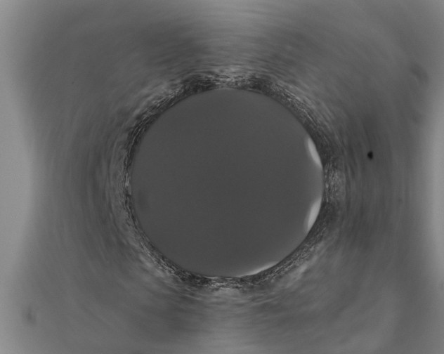 X0000111520913200908041240