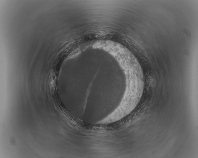 X0000111520914200908041240