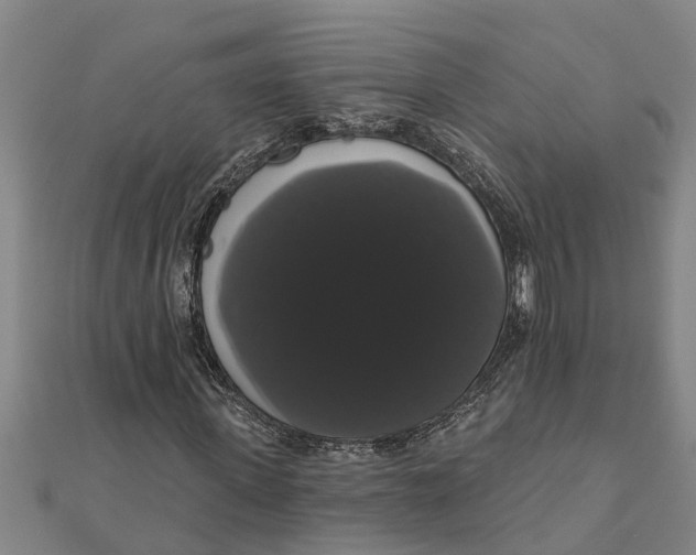 X0000111520915200908041240