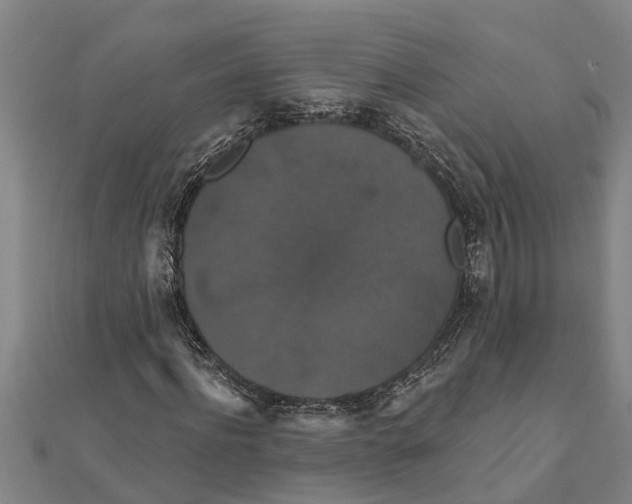 X0000111520916200908041240