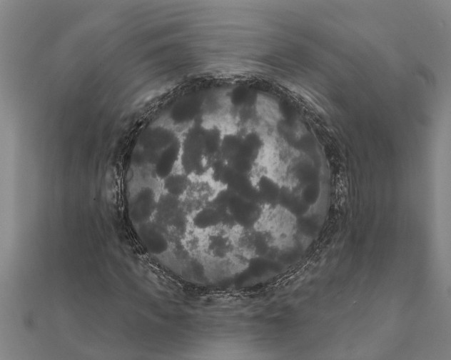 X0000111520917200908041240