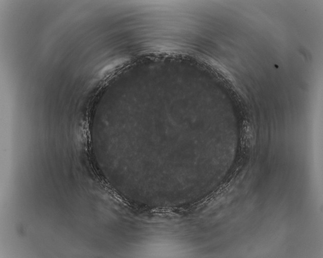 X0000111520918200908041240