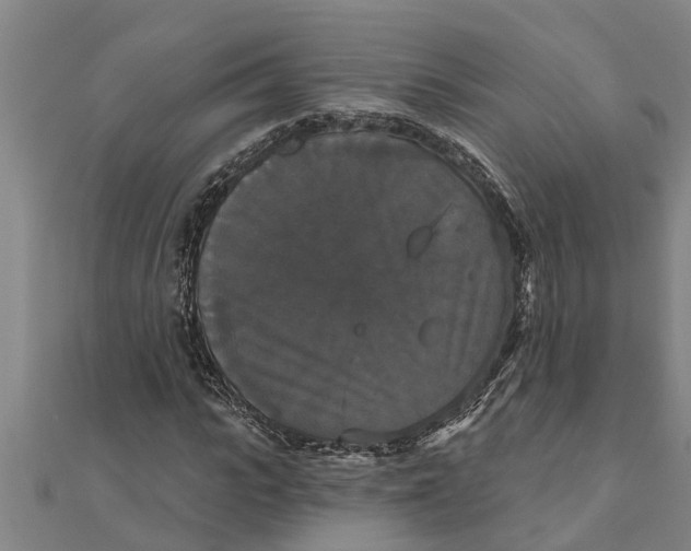 X0000111520919200908041240