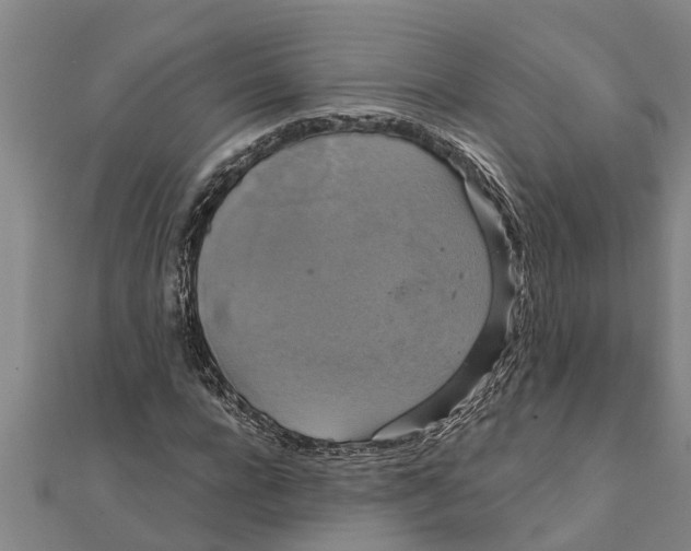 X0000111520920200908041240
