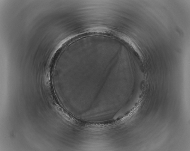 X0000111520923200908041240