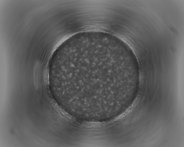 X0000111520925200908041240